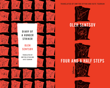 Load image into Gallery viewer, Diary of a Hunger Striker and Four and a Half Steps