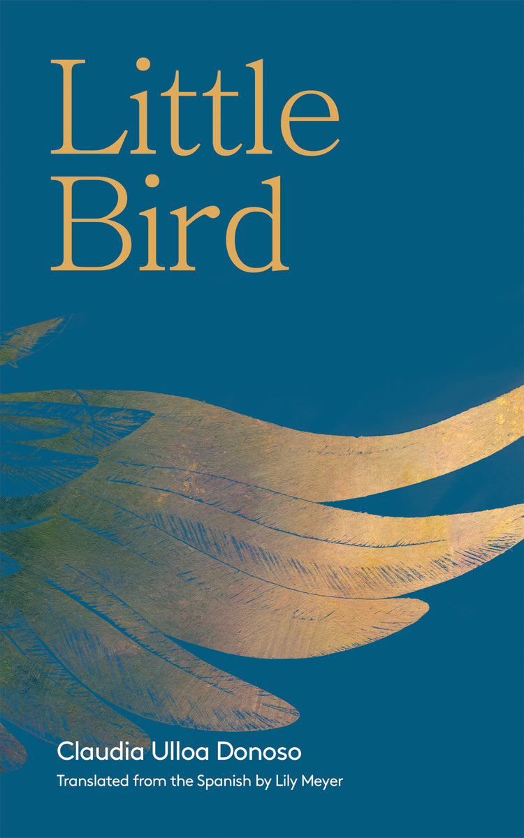 Little Bird – Deep Vellum